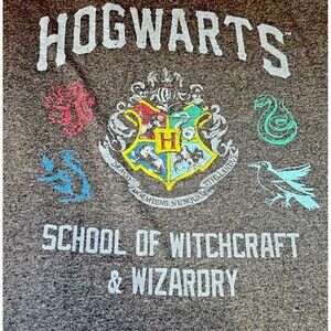 Harry Potter Hogwarts School of WitchCraft & Wizardry T-Shirt Mens Size 2XL Grey